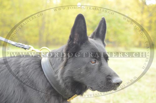 Hunde Lederhalsband mit Pelzschutzplatte fr Agitation Training - zum Schließen ins Bild klicken