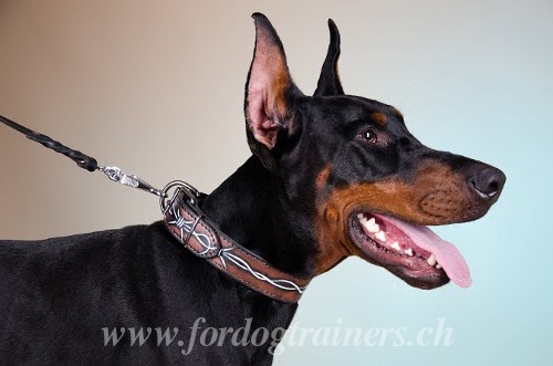 Dobermann Hundehalsband Schweiz C78