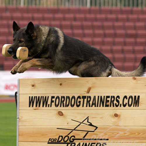 Sautoir d'obissance en bois TE2000 pour prparation aux comptitions du Schutzhund