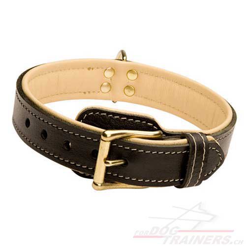 halsband leder schweiz С443