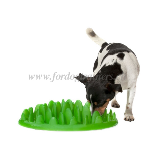 Gamelle pour chien en plastique