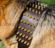 Leder Hundehalsband fr Schferhund mit Messing-Spikes ❂