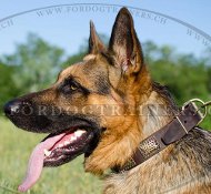 Schferhund Halsband aus Leder | Halsband mit Relief-Platten