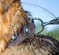 Schferhund Halsband mit Conchos | Hundehalsband Geschmckt