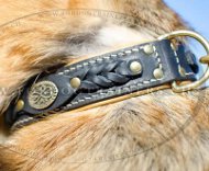 Leder Hundehalsband fr Schferhund mit Zopfdesign