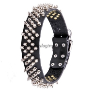 Breites Lederhalsband mit Vernickelten Spikes NEU