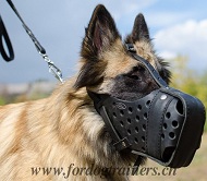 Maulkorb K9 fr Tervueren Training