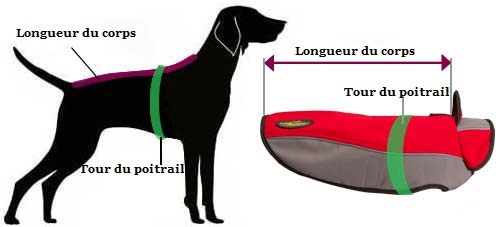 Comment prendre les mesures du chien
pourharnais H14