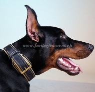 Hundehalsband Gepolstertes mit Nappa fr Dobermann