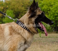 Hundehalsband mit Stahlpyramiden fr Tervueren