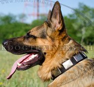 Nylon Hundehalsband fr Schferhund mit massiven Schildern