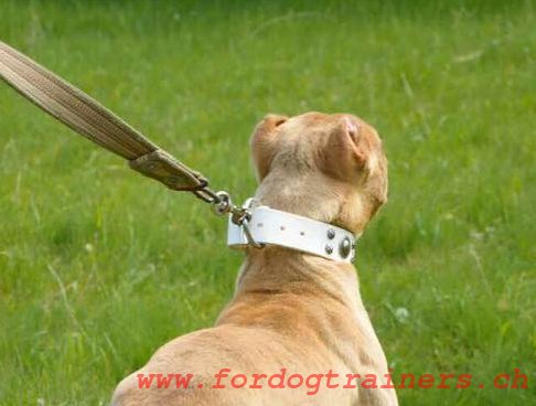 Handgemachtes Hundehalsband Leder,weiss