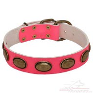 Rosa Hundehalsband mit Platten Vintage Design