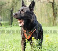 Hundegeschirr fr Schferhund Super Flame Design