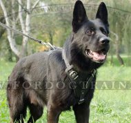 Leder Hundegeschirr fr Schferhund Hundetraining