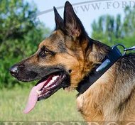 Hunde Lederhalsband fr Schferhund mit Nameschild ▭