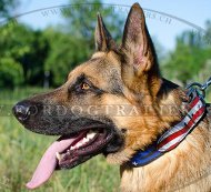 Hundehalsband Schferhund mit USA Superstil