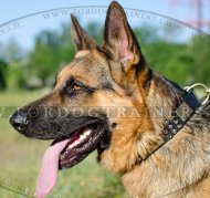 Schferhund Halsband mit Stil | Leder Hundehalsband Super-Klasse