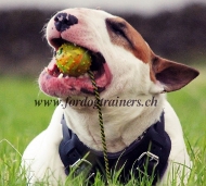 Gummi Hundeball | Hohlball mit Schnur fr Hundespa