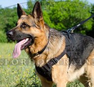 Nylongeschirr fr Schferhund | Starkes Geschirr fr Hundesport