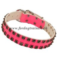 Collier rose pour promenade avec chien