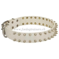 weier leder
hunde halsband spikes kaufen